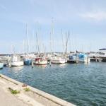 Harbor with many boats and sailboats in the water