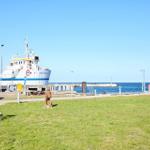 Harbor with fishing vessel and grassy area in the foreground.