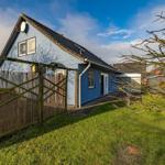 Blauer Gartenhaus mit Holztor und Rasenfläche unter blauem Himmel.