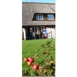 Haus mit Strohdach, Terrasse und Garten. Vordergrund: rote Beeren an einem Strauch.