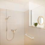 Dusche mit Handbrause, Spiegelschrank und Pflanzen auf der Arbeitsfläche.