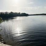 Stiller See mit Uferbereich und Bäumen im Hintergrund. Sonne spiegelt sich auf der Wasseroberfläche.