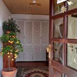 Eingangsbereich mit Holztür, Teppich und Zitronenbaum. Hinter der Tür steht ein Schrank.