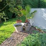 Garten mit Obstbaum, Palme, Waschbässchen und Gießkanne auf Kies.