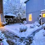 Willkommen im Gartenidyll!