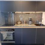 Küche mit Dunstabzug, Herd, Backofen und Spüle.