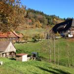 Haus mit Holzveranda, umgeben von grünen Wiesen und Herbstbäumen.