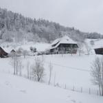 Schneebedeckte Häuser in einer ländlichen Winterlandschaft mit Wald im Hintergrund.