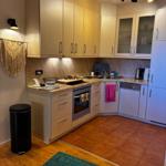 Küche mit Holzboden, Terrakottafußboden, Schränken und Einbauküche.