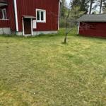 Rasenfläche Garten