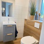 Bathroom with sink, toilet, and plant by the window.
