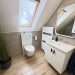 Bathroom with sloped ceiling, toilet, sink, and plant.