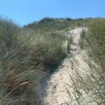 Sandy path through grass leading to dune slope under blue sky
