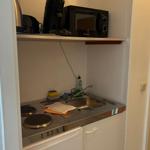 Küchenbereich mit Spüle, Kochfeld, Mikrowelle und Kaffeemaschine.