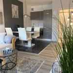 Wohn- und Essbereich mit Küchenzeile und Pflanzen