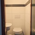 Badezimmer mit Toilette, Waschbecken und blauem Teppich auf dunklem Boden.