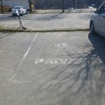 Privater Parkplatz mit markierten Stellplätzen und Bäumen im Hintergrund.