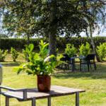 Garden with table, chairs, and croquet balls under trees.