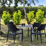 Outdoor area with table and four chairs under trees on grass.