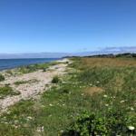 Strand mit Steinen und Gras, Blick auf das Meer und Ferienhäuser im Hintergrund.