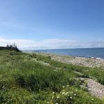 Strand mit Steinen und Gras, Blick auf ruhiges Wasser und Himmel.