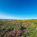 Grünes Grasfeld mit Blick auf das Meer und einen klaren blauen Himmel.