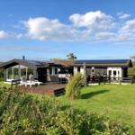 Moderne Villa mit Terrasse, Garten und dänischer Flagge unter blauem Himmel.