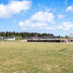 Green field with soccer goals and basketball hoop. Houses and trees are visible in the background.