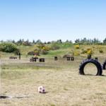Golf course with orange flagpole and soccer ball on grass field.