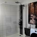 Dusche mit Glaswand, Waschmaschine und Wandbild.