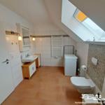 Bathroom with sloped ceiling, washing machine, toilet, and skylight.