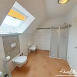 Bathroom with shower, toilet, and skylight. Tiled wall and wooden floor.