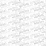 (kein Bild vorhanden)