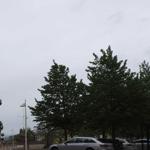 Hafenbecken mit Leuchtturm, Bäumen und parkenden Autos unter bewölktem Himmel.