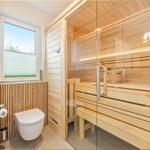 Duschbad mit Sauna und Toilette. Holzverkleidung und Glasfront sichtbar.