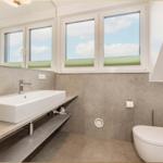 Badezimmer mit Waschbecken, Toilette und Fenstern. Wandverkleidung aus Holz und Beton.