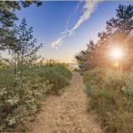 Wanderweg durch Gras und Bäume zum Strand bei Sonnenuntergang.