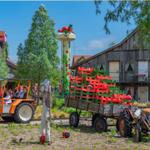 Oranger Traktor mit Besuchern, rote und grüne Kisten auf Wagen, Holzhaus im Hintergrund.