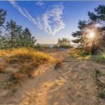 Sandpfad durch Dünen mit Blick auf Meer und Sonne zwischen Bäumen