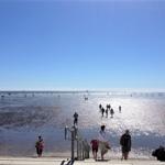 Besucher spazieren am Strand und über das Watt. Sonne reflektiert auf dem Wasser.