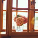 Ein Glas mit rosa Hortensien steht auf einem Fensterbrett in einem Holzfenster.