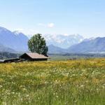 Hütte in blühendem Feld mit Bergpanorama im Hintergrund.