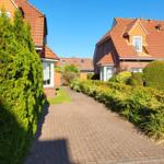 Paved path between two houses with red roof and green hedges under blue sky.