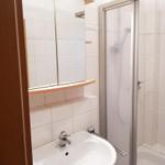 Bathroom with shower, sink, and mirror cabinet.