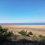 Weitläufiger Blick auf Fluss und trockene Wiesen mit grünen Sträuchern im Vordergrund.