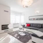 Living room with gray sofa, red cushions, and modern fireplace.