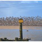 200 Meter vom Haus entfernt.