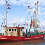 Frische Krabben gibt es am Hafen Strucklahnungshörn - 2,7 km vom Ferienhaus entfernt.