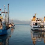 Hafen Strucklahnungshörn. Von hier aus starten die Ausflugschiffe auf die Halligen und Inseln und zu den Robbenbänken.