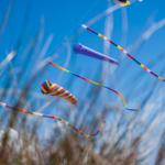 Farbenfrohe Windräder schweben im blauen Himmel über hohes Gras.